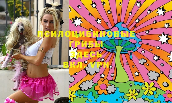 MDMA Premium VHQ Михайловка