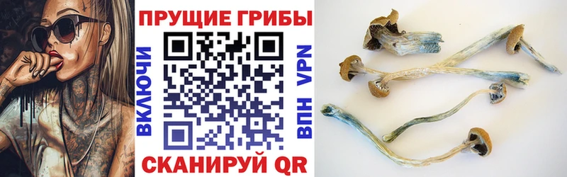 Галлюциногенные грибы GOLDEN TEACHER  Купить  Кушва 